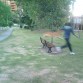 Ruffo saltando una silla de un parq junto con migo (el dueño)